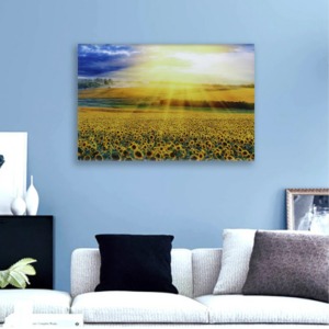 태양빛 해바라기 그림 40ⅹ60 소 인테리어 풍수그림